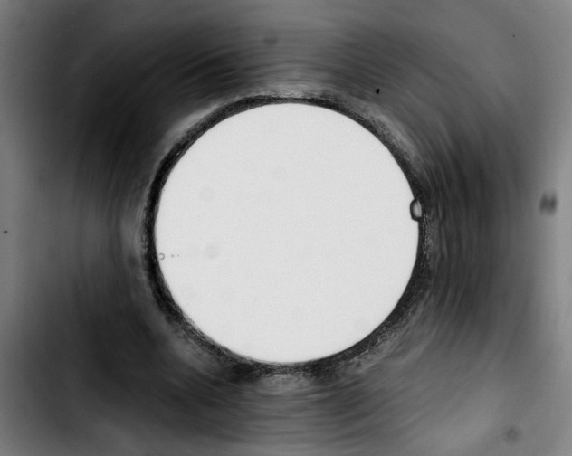 X0000103430536200810241101