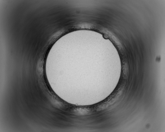 X0000103430537200810241101