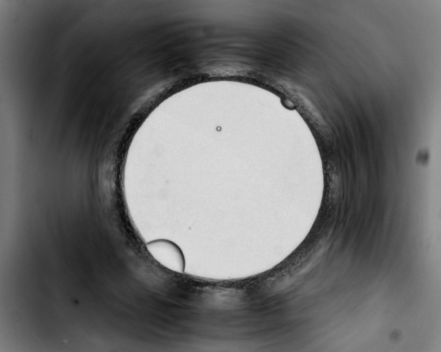 X0000103430539200810241101