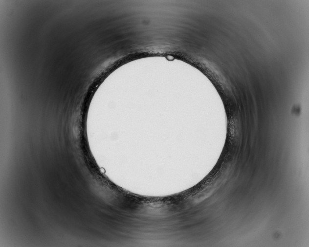 X0000103430540200810241101