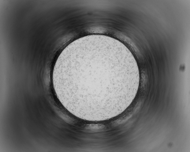 X0000103430541200810241101