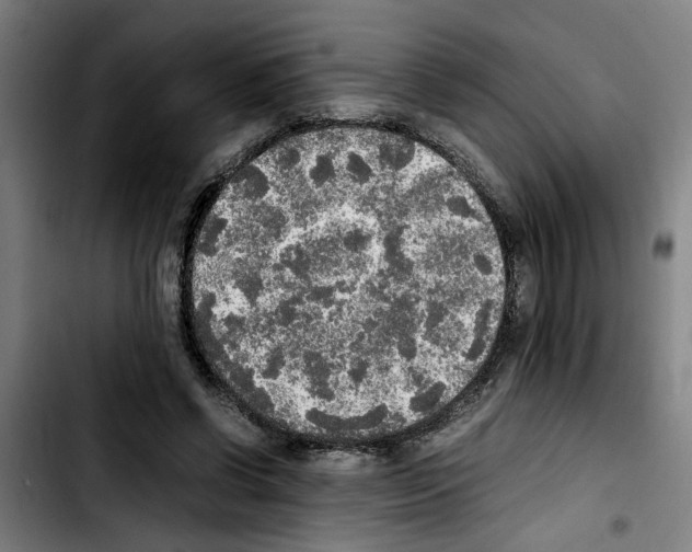 X0000103430542200810241101