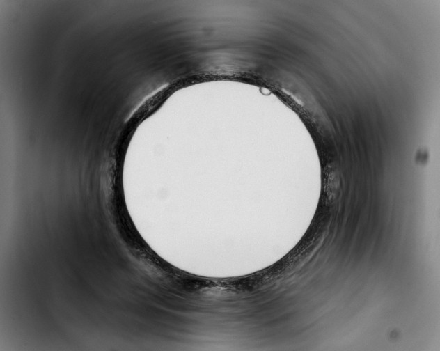 X0000103430544200810241101
