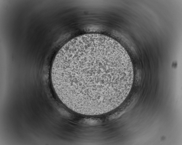 X0000103430545200810241101