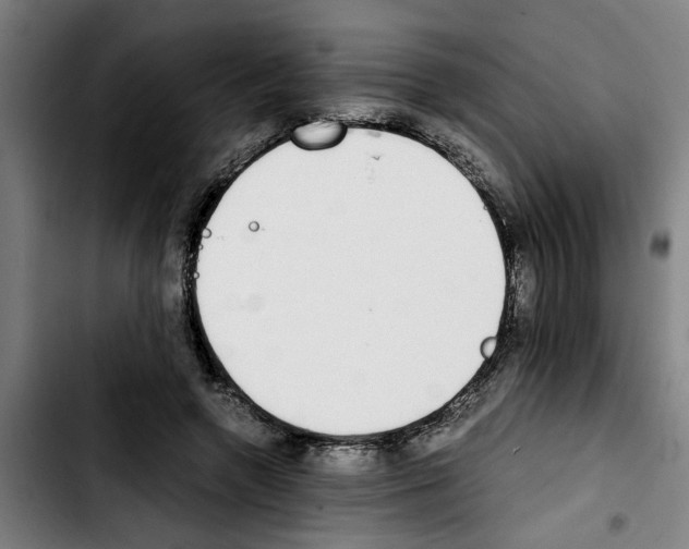 X0000103430546200810241101