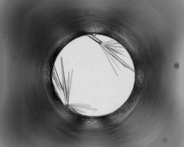 X0000103430547200810241101