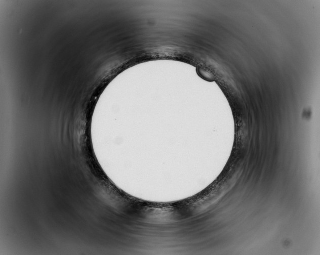 X0000103430548200810241101