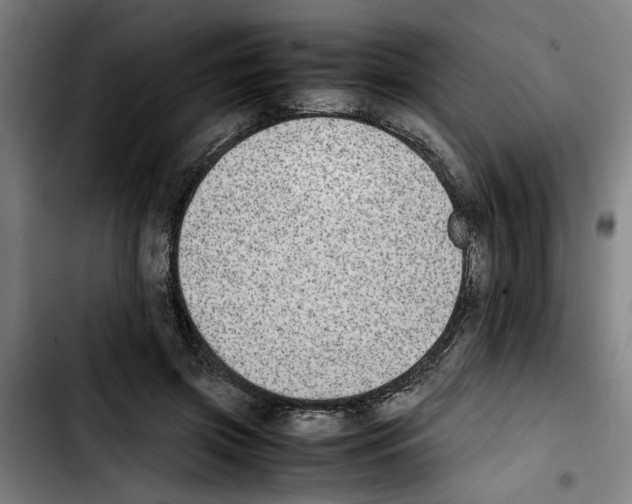 X0000103430549200810241101