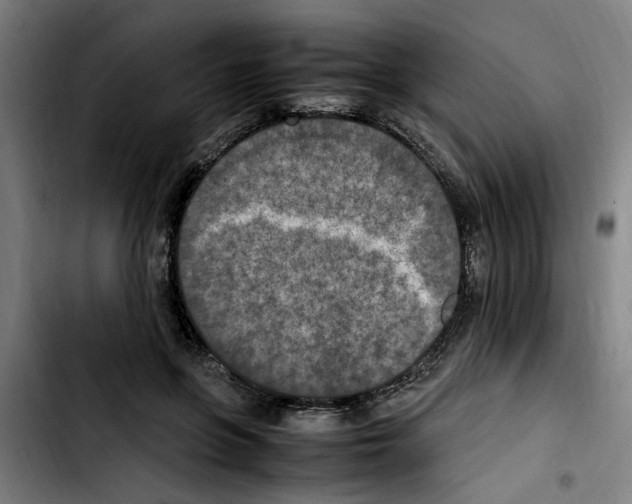 X0000103430551200810241101