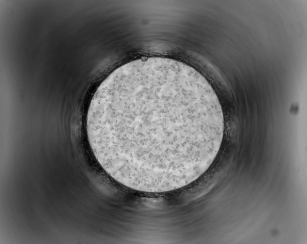 X0000103430552200810241101