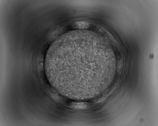 X0000103430553200810241101