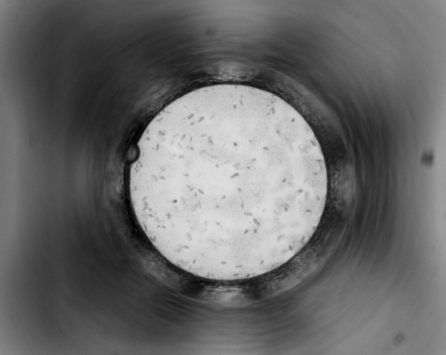 X0000103430554200810241101