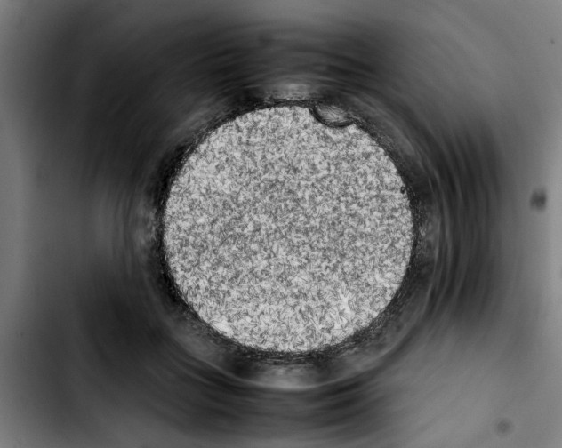 X0000103430555200810241101