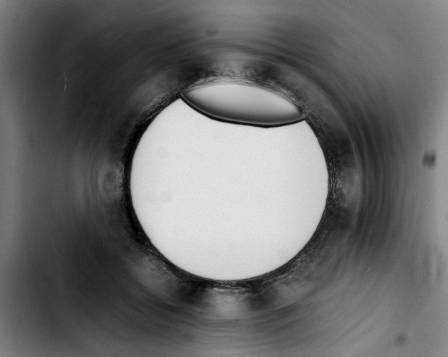 X0000103430556200810241101