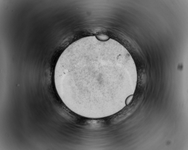 X0000103430558200810241101