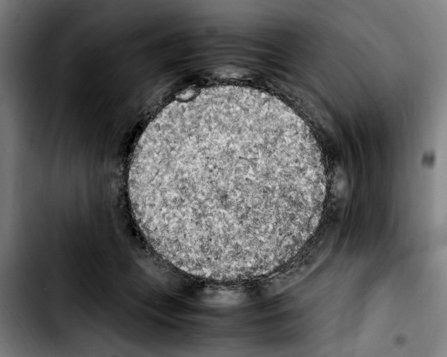 X0000103430559200810241101