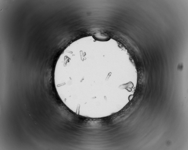 X0000103430560200810241101