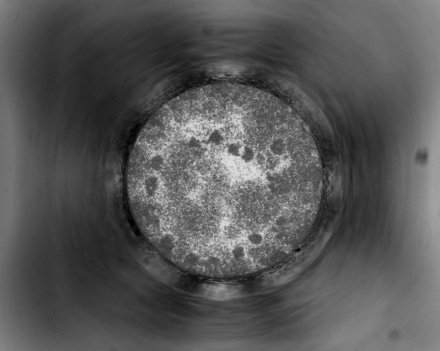 X0000103430561200810241101