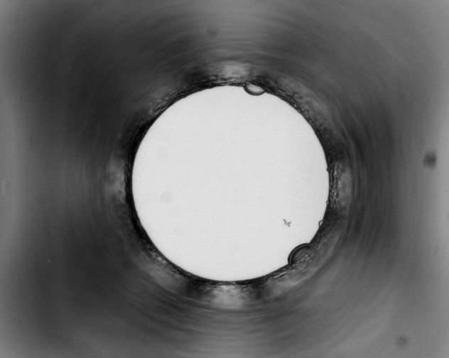 X0000103430562200810241101