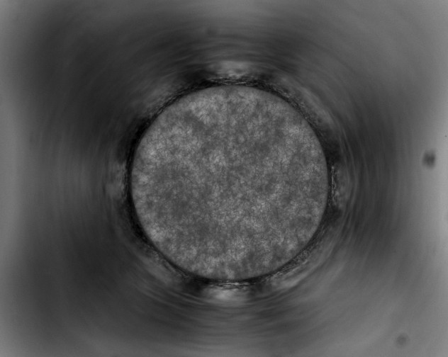 X0000103430563200810241101