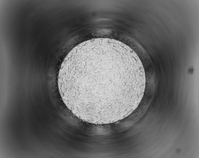 X0000103430565200810241101