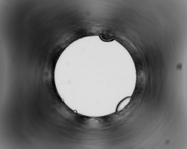 X0000103430566200810241101