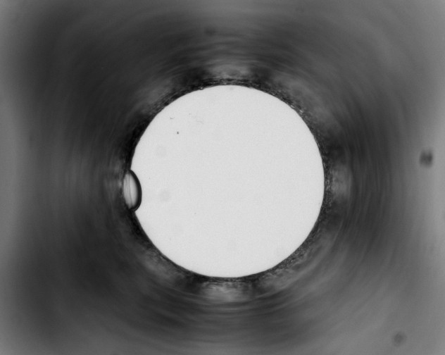 X0000103430567200810241101