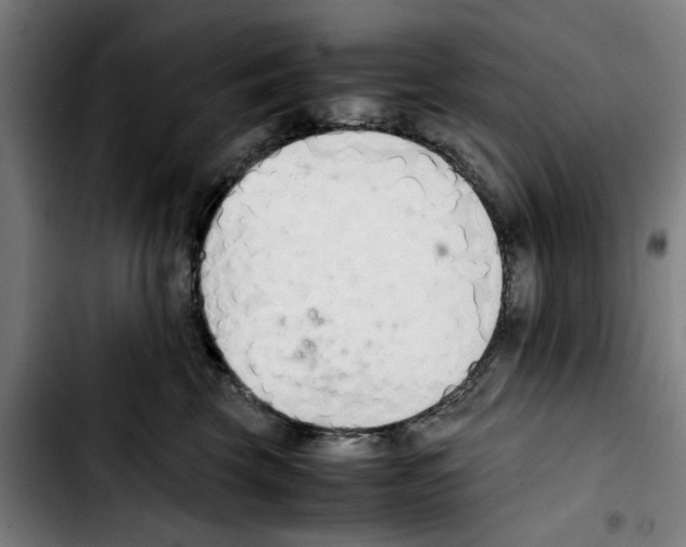 X0000103430569200810241101