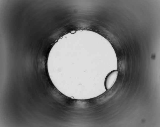 X0000103430570200810241101