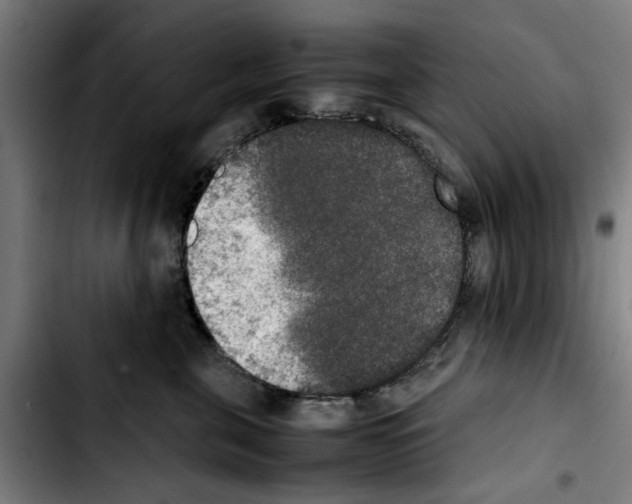 X0000103430571200810241101