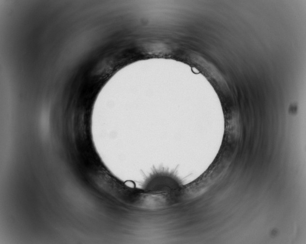 X0000103430572200810241101