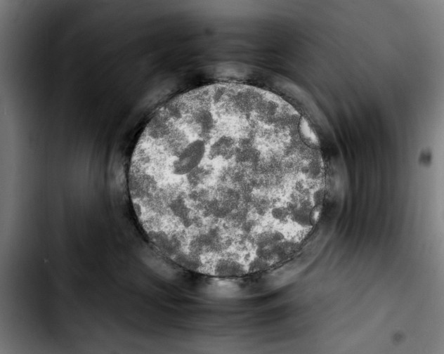 X0000103430573200810241101