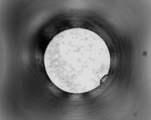 X0000103430574200810241101