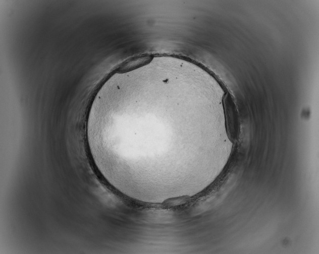 X0000103430577200810241100