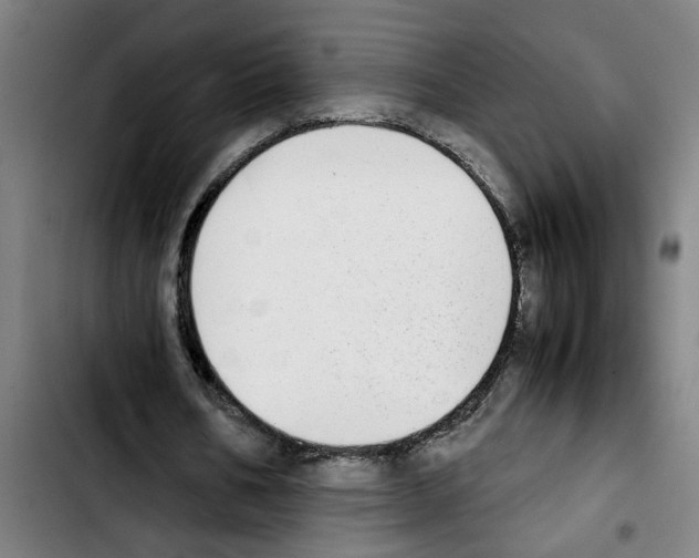 X0000103430578200810241100