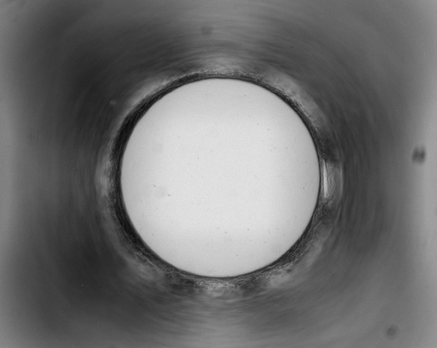 X0000103430579200810241100