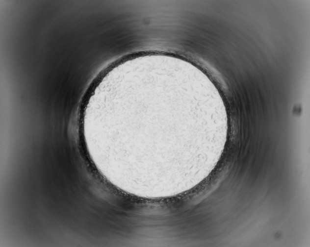X0000103430580200810241100