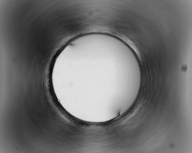 X0000103430581200810241100