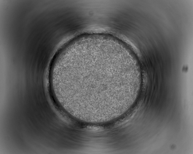 X0000103430582200810241100
