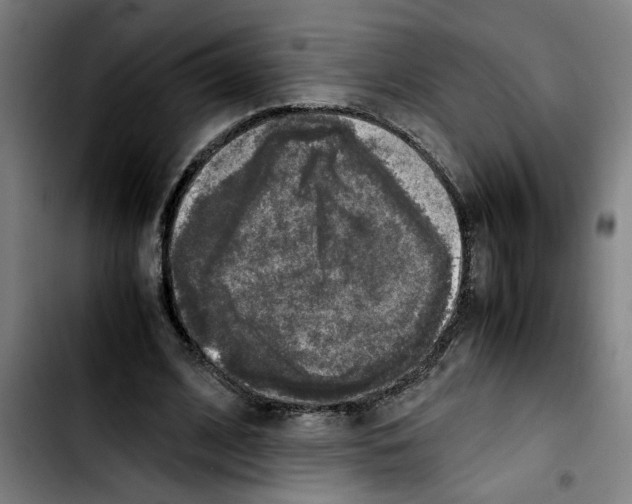 X0000103430584200810241100