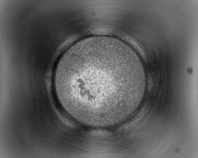 X0000103430586200810241100