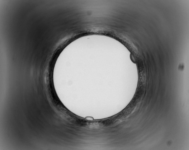 X0000103430587200810241100