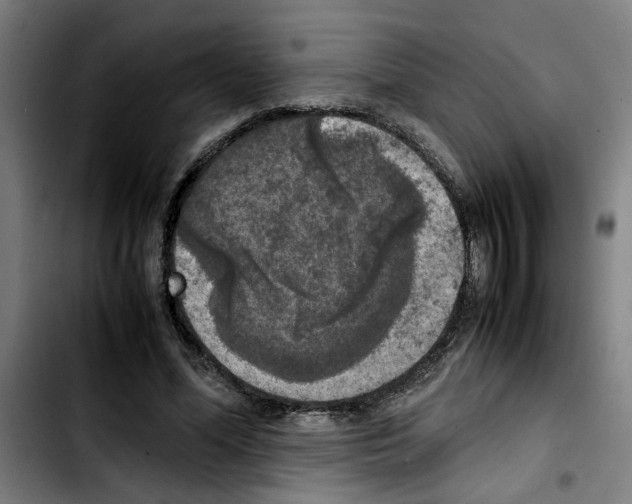 X0000103430588200810241100