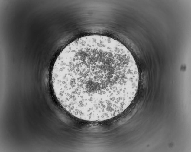 X0000103430589200810241100