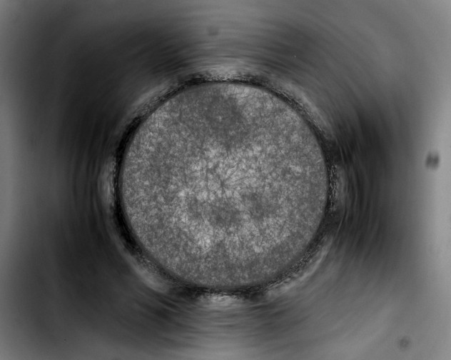 X0000103430590200810241100