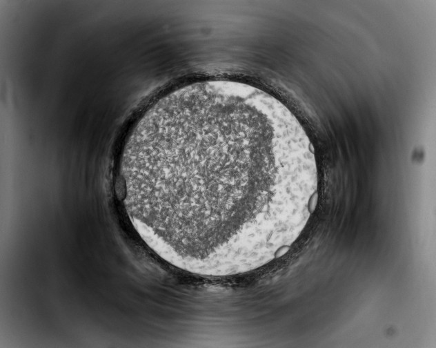 X0000103430592200810241100