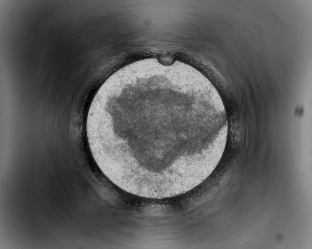 X0000103430593200810241100