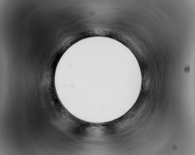 X0000103430595200810241100