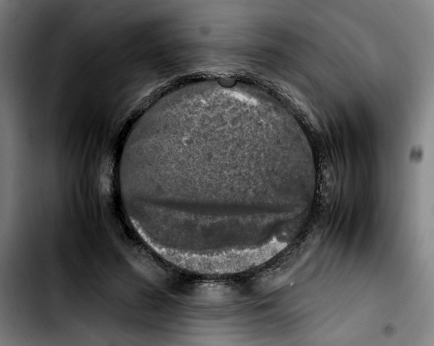 X0000103430596200810241100