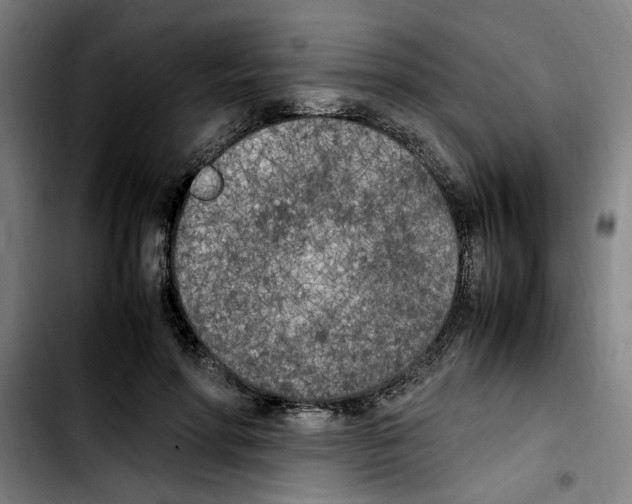 X0000103430598200810241100